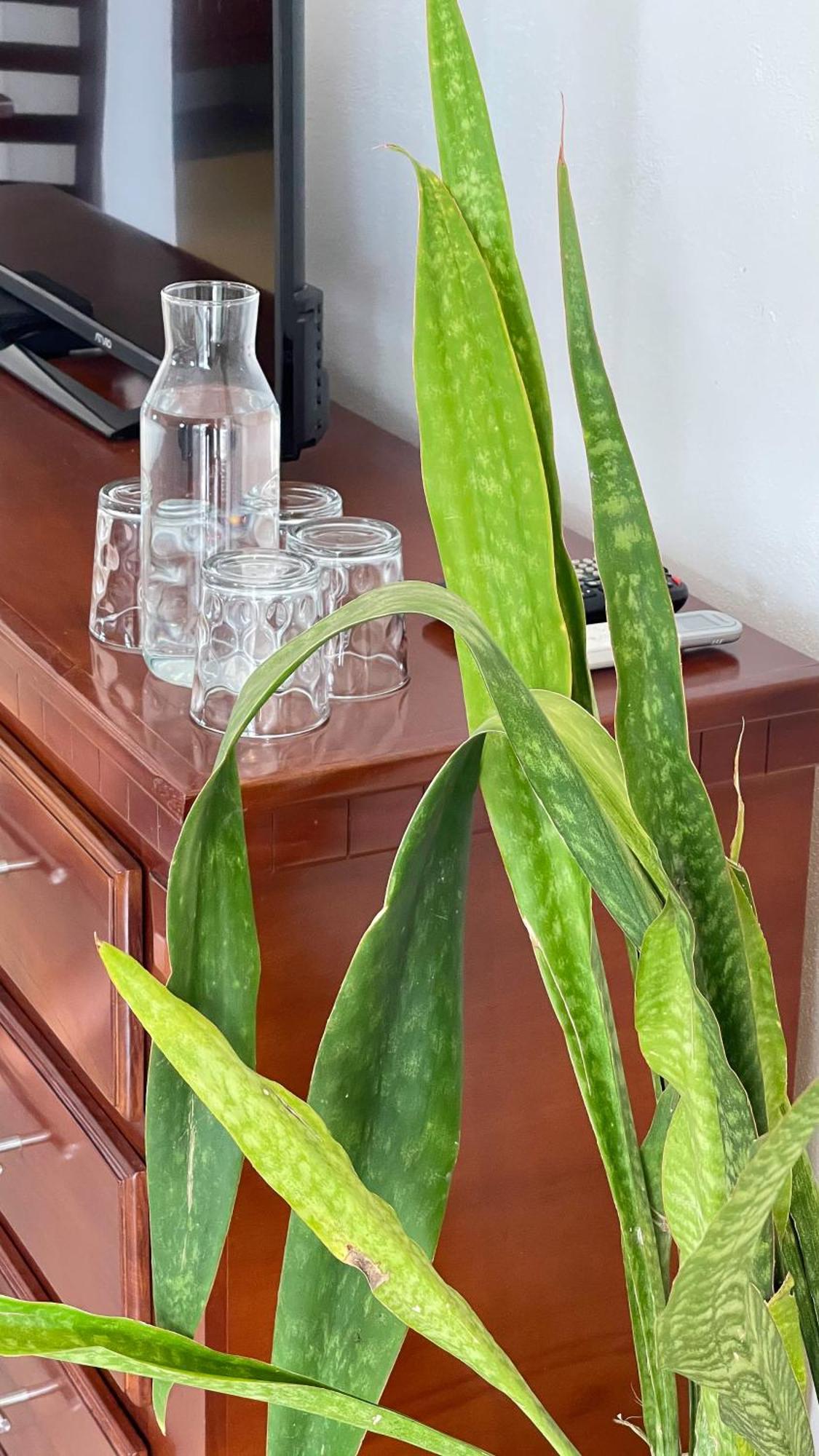 Quinta Alberto Boutique Hotel San Blas Phòng bức ảnh